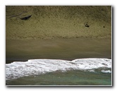 Green-Sand-Beach-South-Point-Big-Island-Hawaii-108
