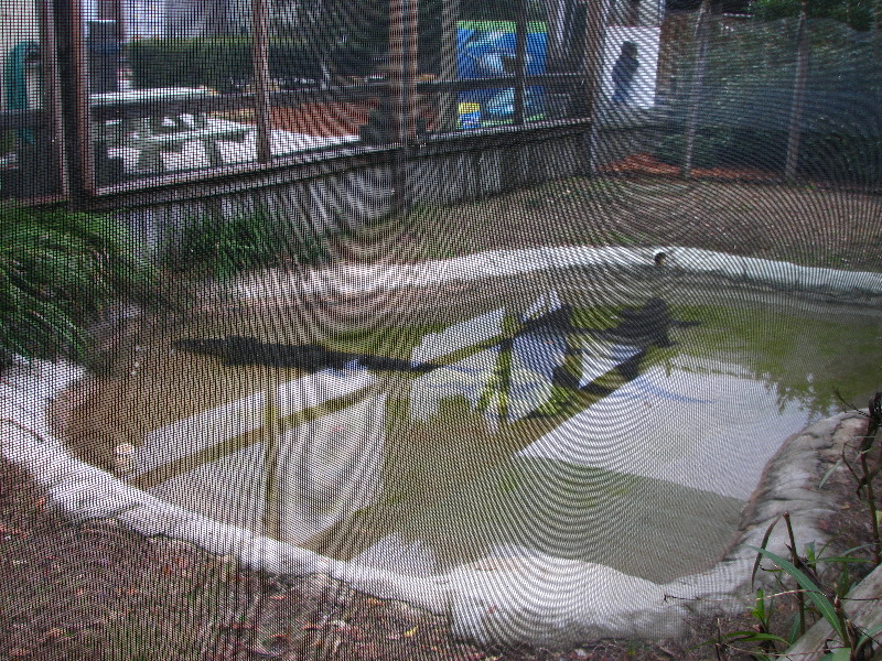 Gulf-World-Marine-Park-Panama-City-Beach-FL-016