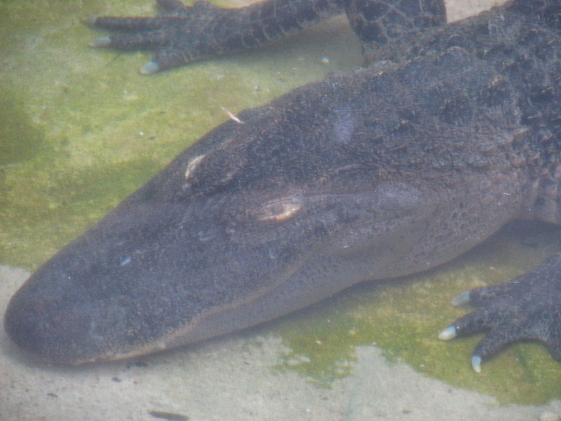 Gulf-World-Marine-Park-Panama-City-Beach-FL-018