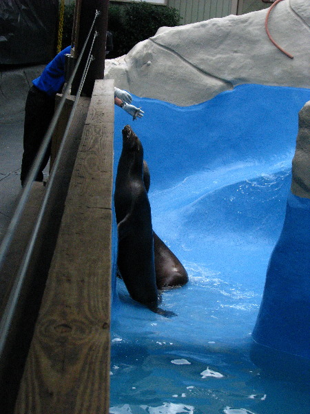 Gulf-World-Marine-Park-Panama-City-Beach-FL-042