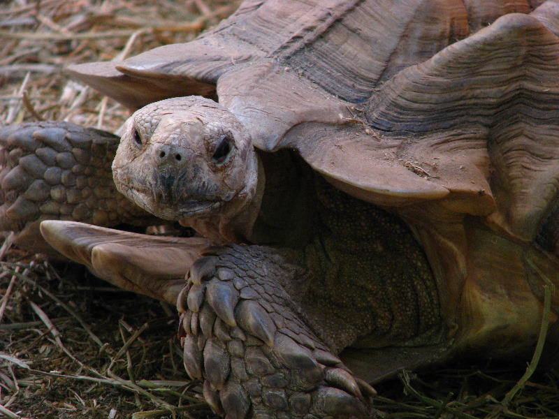 Gulf-World-Marine-Park-Panama-City-Beach-FL-053