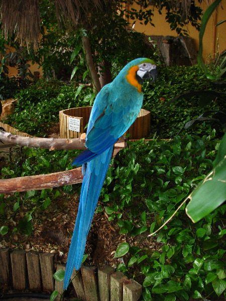 Gulf-World-Marine-Park-Panama-City-Beach-FL-055