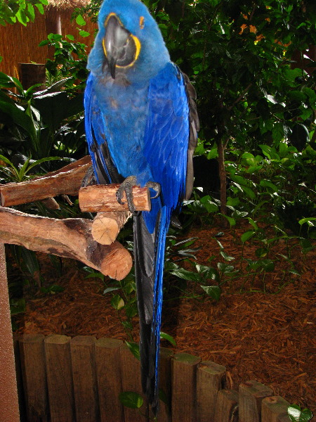 Gulf-World-Marine-Park-Panama-City-Beach-FL-058