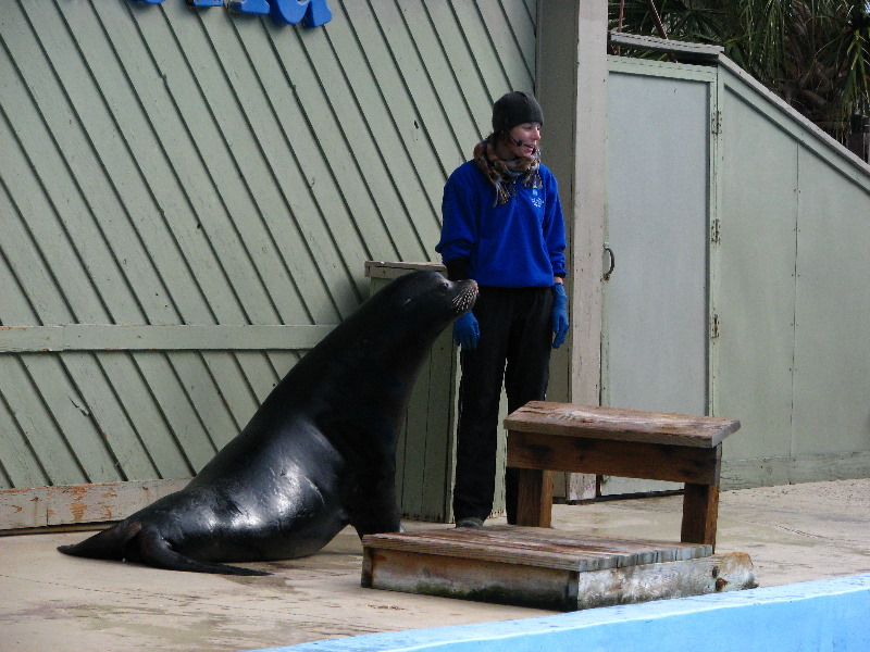 Gulf-World-Marine-Park-Panama-City-Beach-FL-067