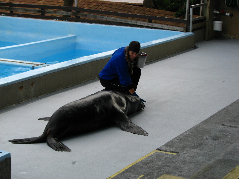 Gulf-World-Marine-Park-Panama-City-Beach-FL-069