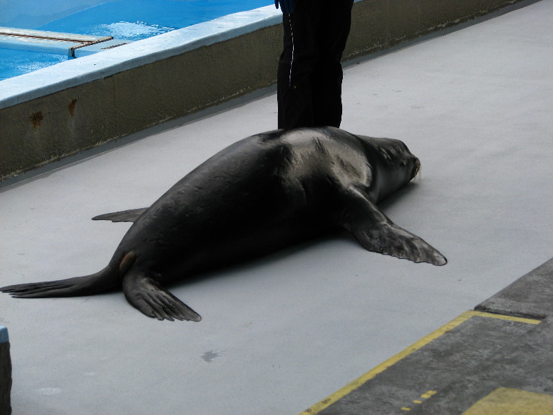 Gulf-World-Marine-Park-Panama-City-Beach-FL-070