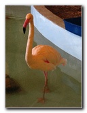 Gulf-World-Marine-Park-Panama-City-Beach-FL-048