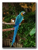 Gulf-World-Marine-Park-Panama-City-Beach-FL-055