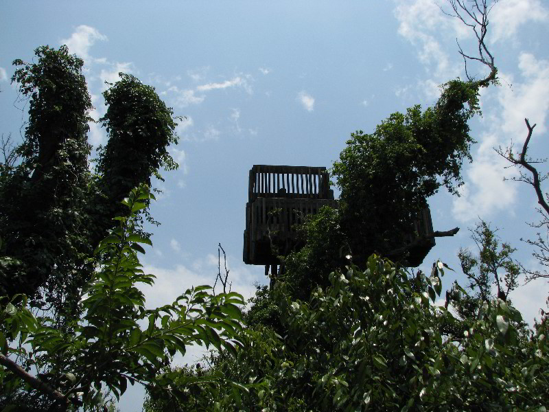 Gumbo-Limbo-Nature-Center-Boca-Raton-FL-002