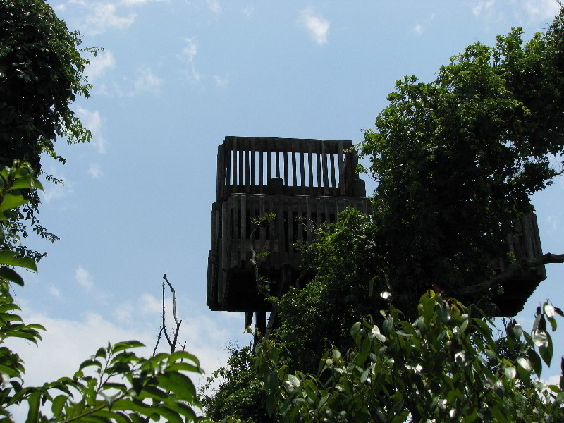 Gumbo-Limbo-Nature-Center-Boca-Raton-FL-003
