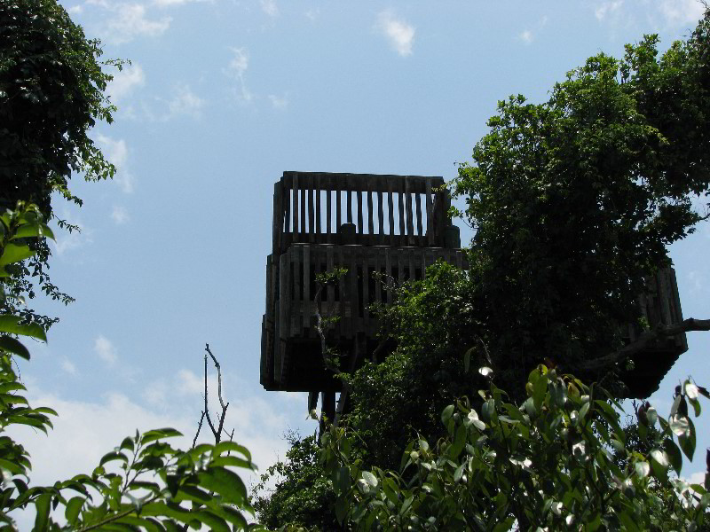 Gumbo-Limbo-Nature-Center-Boca-Raton-FL-003