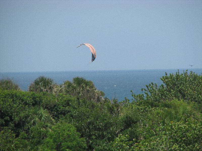 Gumbo-Limbo-Nature-Center-Boca-Raton-FL-009