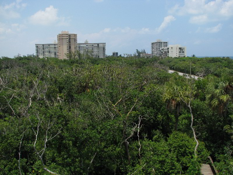 Gumbo-Limbo-Nature-Center-Boca-Raton-FL-012
