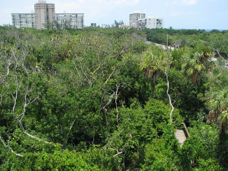 Gumbo-Limbo-Nature-Center-Boca-Raton-FL-015