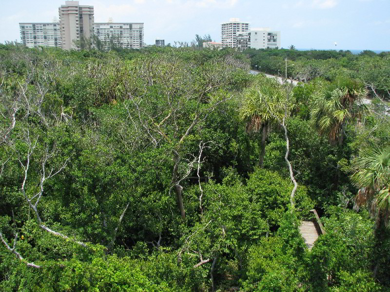 Gumbo-Limbo-Nature-Center-Boca-Raton-FL-015