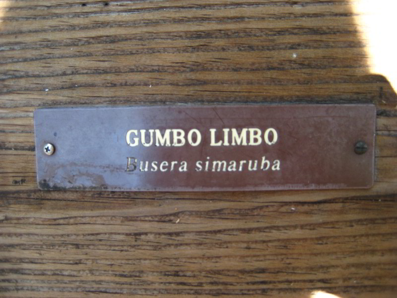 Gumbo-Limbo-Nature-Center-Boca-Raton-FL-031