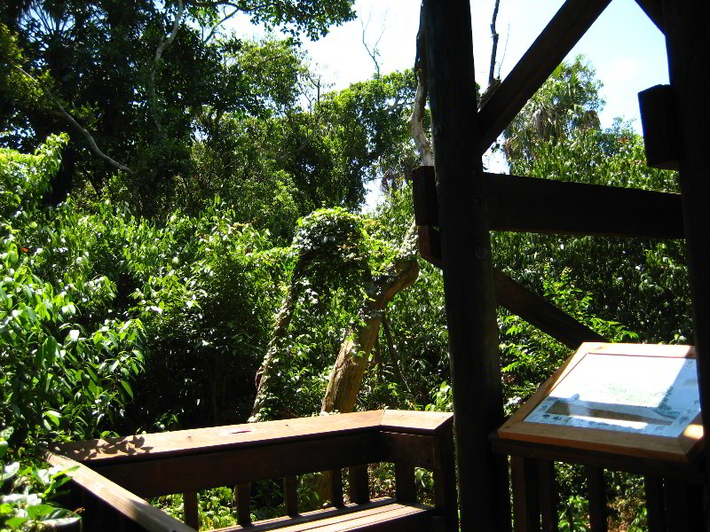 Gumbo-Limbo-Nature-Center-Boca-Raton-FL-032