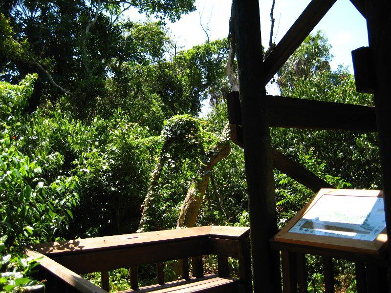 Gumbo-Limbo-Nature-Center-Boca-Raton-FL-032