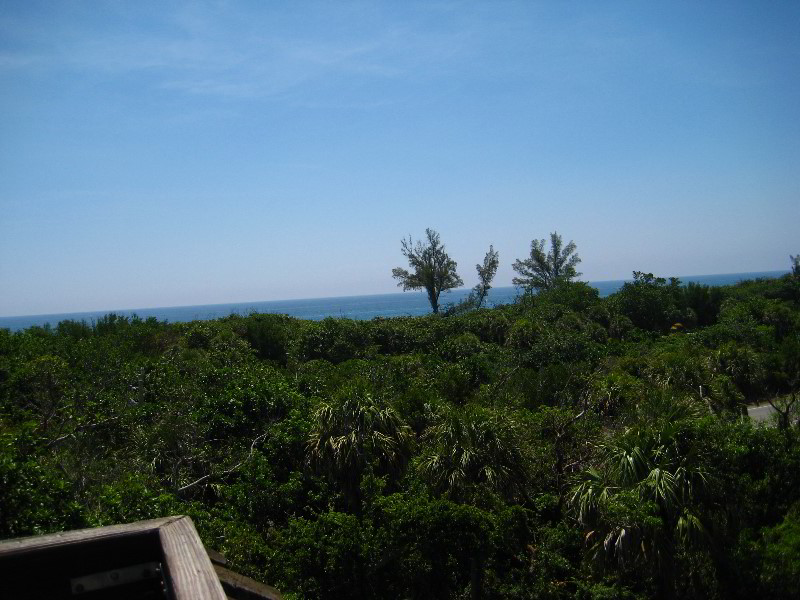 Gumbo-Limbo-Nature-Center-Boca-Raton-FL-034