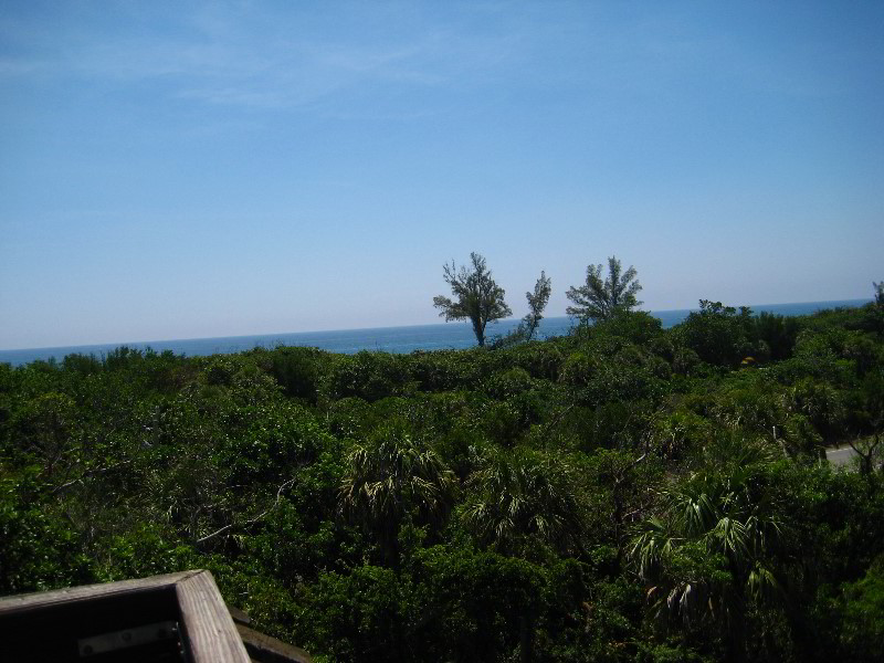 Gumbo-Limbo-Nature-Center-Boca-Raton-FL-034