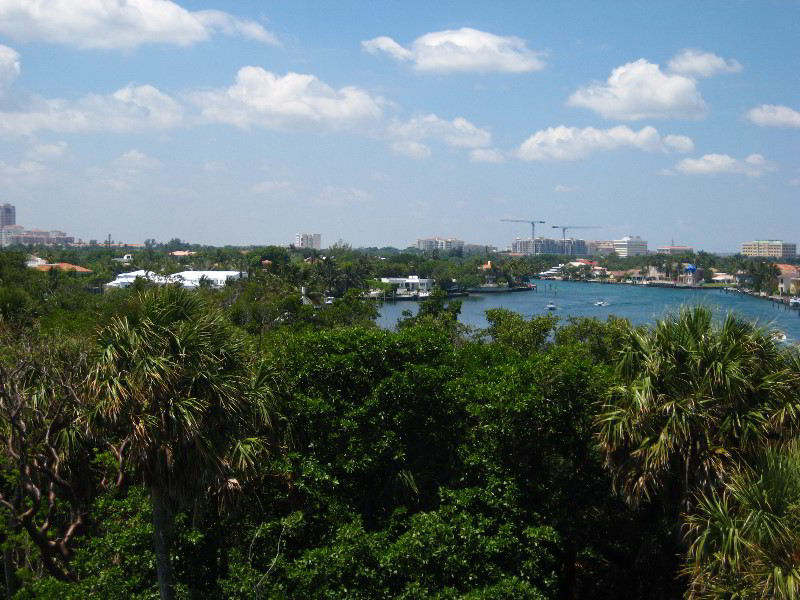Gumbo-Limbo-Nature-Center-Boca-Raton-FL-036