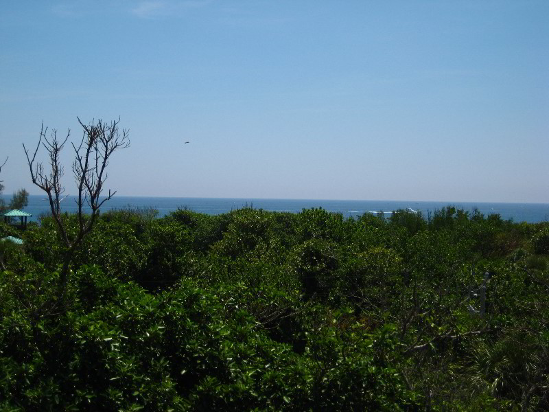 Gumbo-Limbo-Nature-Center-Boca-Raton-FL-037