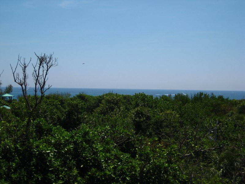 Gumbo-Limbo-Nature-Center-Boca-Raton-FL-037