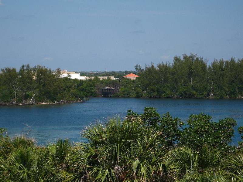 Gumbo-Limbo-Nature-Center-Boca-Raton-FL-039