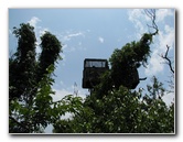 Gumbo-Limbo-Nature-Center-Boca-Raton-FL-002