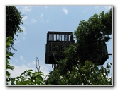 Gumbo-Limbo-Nature-Center-Boca-Raton-FL-003