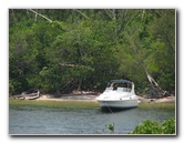 Gumbo-Limbo-Nature-Center-Boca-Raton-FL-007