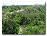 Gumbo-Limbo-Nature-Center-Boca-Raton-FL-008