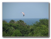 Gumbo-Limbo-Nature-Center-Boca-Raton-FL-009