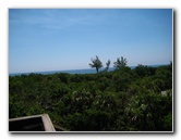 Gumbo-Limbo-Nature-Center-Boca-Raton-FL-034