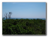 Gumbo-Limbo-Nature-Center-Boca-Raton-FL-037