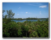 Gumbo-Limbo-Nature-Center-Boca-Raton-FL-038