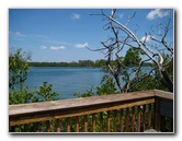 Gumbo-Limbo-Nature-Center-Boca-Raton-FL-042