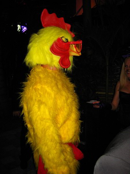 Halloween-2008-Hard-Rock-Hollywood-FL-002