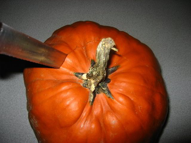 Halloween-Pumpkin-Carving-06-003