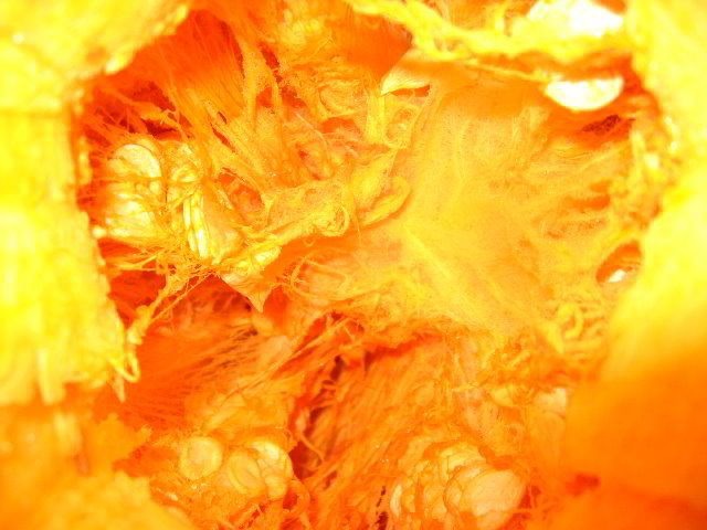 Halloween-Pumpkin-Carving-06-007