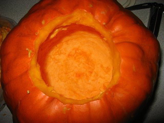 Halloween-Pumpkin-Carving-06-013