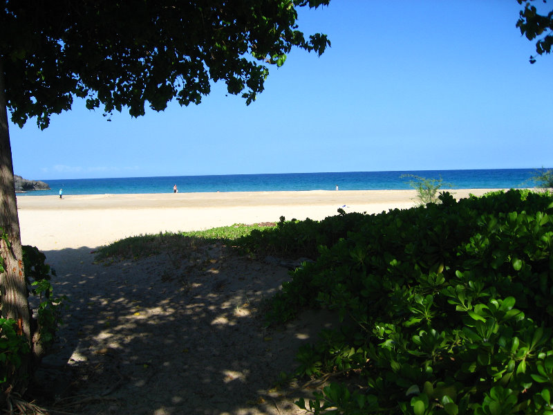 Hapuna-Beach-State-Park-Kamuela-Kohala-Big-Island-Hawaii-007