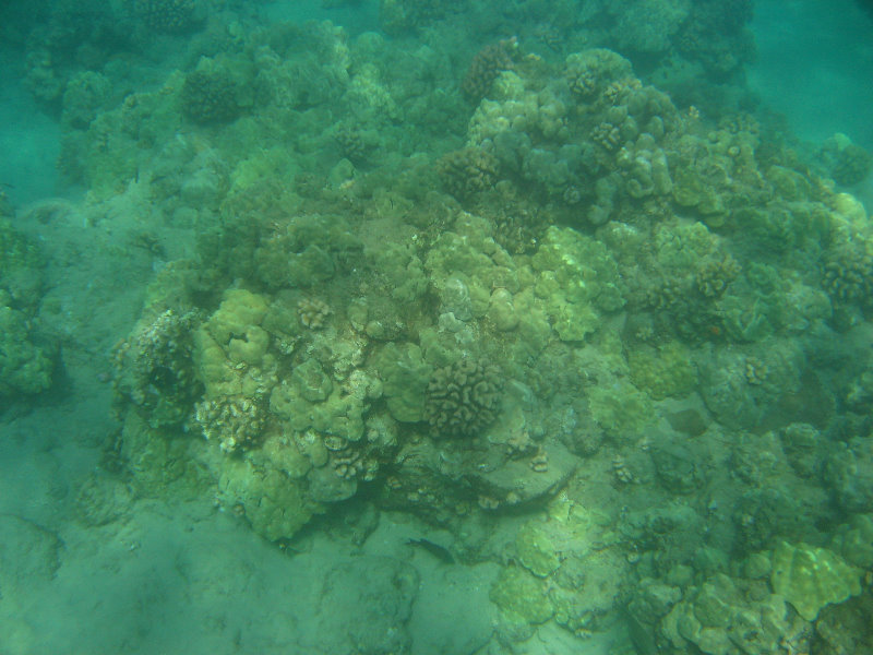 Hapuna-Beach-State-Park-Kamuela-Kohala-Big-Island-Hawaii-014