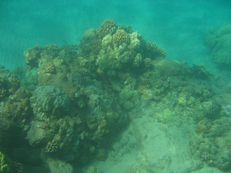 Hapuna-Beach-State-Park-Kamuela-Kohala-Big-Island-Hawaii-015