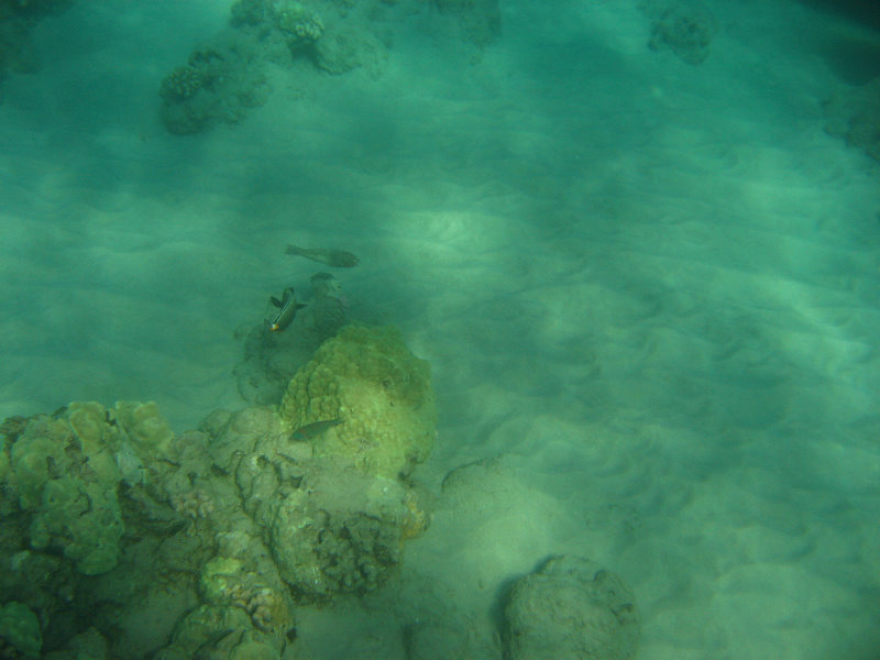 Hapuna-Beach-State-Park-Kamuela-Kohala-Big-Island-Hawaii-018