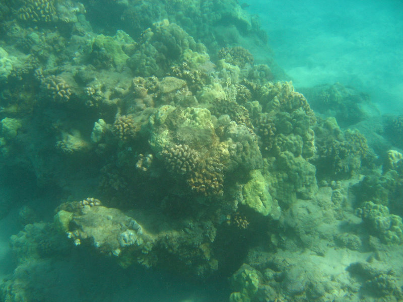 Hapuna-Beach-State-Park-Kamuela-Kohala-Big-Island-Hawaii-019