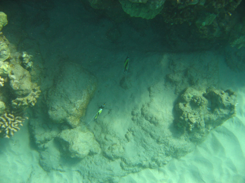 Hapuna-Beach-State-Park-Kamuela-Kohala-Big-Island-Hawaii-020