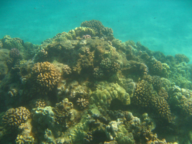 Hapuna-Beach-State-Park-Kamuela-Kohala-Big-Island-Hawaii-021