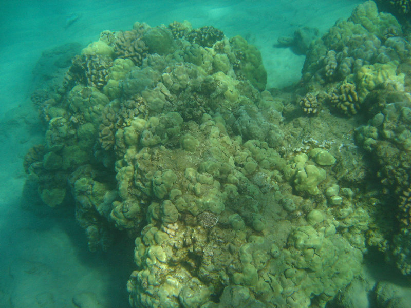 Hapuna-Beach-State-Park-Kamuela-Kohala-Big-Island-Hawaii-023