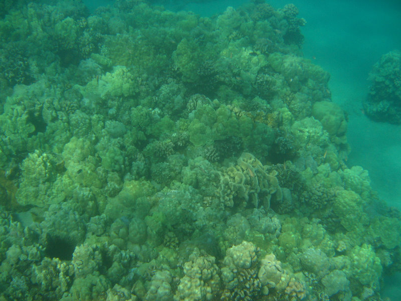 Hapuna-Beach-State-Park-Kamuela-Kohala-Big-Island-Hawaii-024